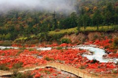 海螺壹號(hào)-木格措、瀘定橋、紅石公園、磨西古鎮(zhèn)3日游